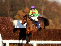 Master Minded Tingle Creek 2008.jpg